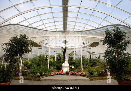 Il recentemente ristrutturato Kibble Palace in Botanic Gardens Glasgow REGNO UNITO felci arboree formare il pezzo centrale nella spettacolare glasshous Foto Stock