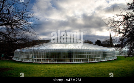 Il recentemente ristrutturato Kibble Palace in Botanic Gardens Glasgow REGNO UNITO felci arboree formare il pezzo centrale nella spettacolare glasshous Foto Stock