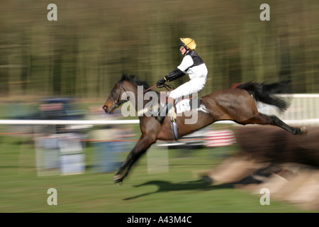 Horse jumping un recinto durante un punto a punto gara Foto Stock