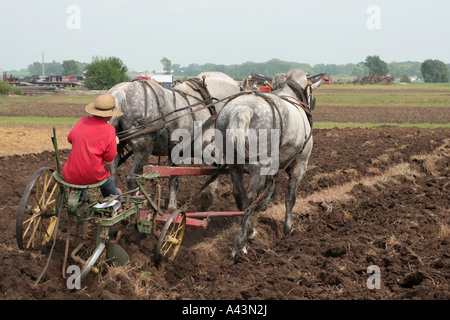 Aratro a cavallo Foto Stock