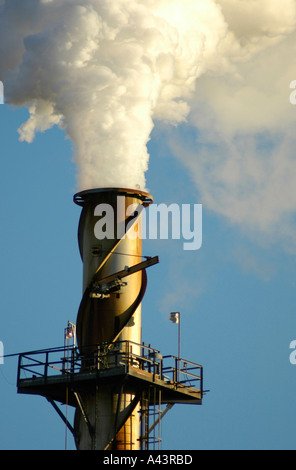 Raffineria di petrolio mettendo fuori vapore pulito nel sud di El Paso Texas rendendo la benzina Foto Stock