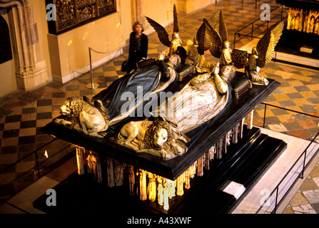 Dijon Francia palais des Ducs de Bourgogne Borgogna Foto Stock