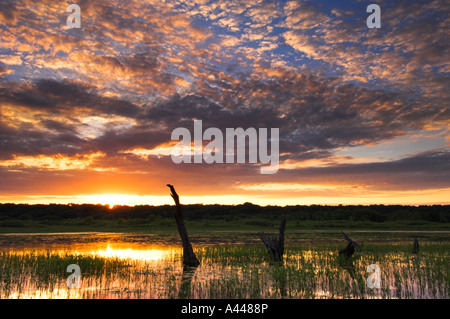 Tramonto colorato sopra il Minnesota River Valley. Giordania, Minnesota, Stati Uniti d'America Foto Stock