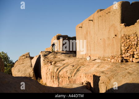 Case del Borgo di Sanga appollaiato sulla scarpata nelle prime ore del mattino, Paese Dogon del Mali, Africa occidentale Foto Stock