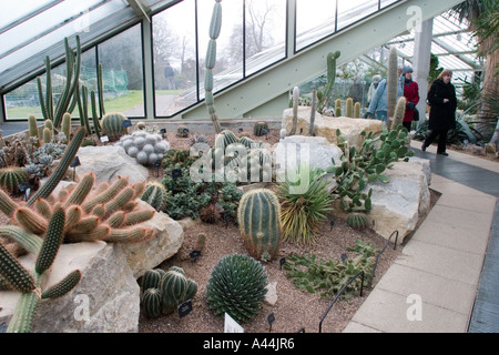 La principessa di Galles conservatorio in Royal Botanical Gardens di Kew Gardens Londra Inghilterra REGNO UNITO Foto Stock