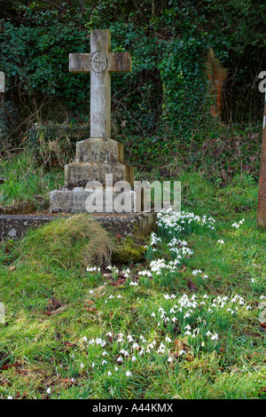 Bucaneve in fiore intorno a una vecchia tomba nel sagrato della chiesa di San Giovanni Battista, Findon, West Sussex. Foto Stock