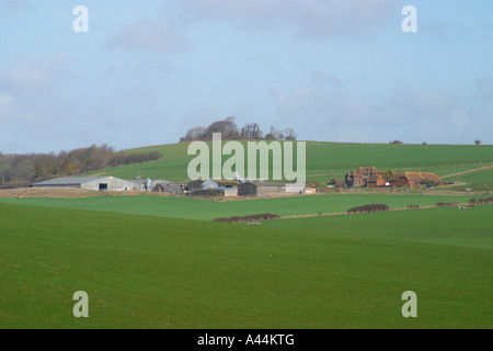 Vista della fattoria Tolmare, lunga Furlong vicino a Findon Village, West Sussex. Foto Stock