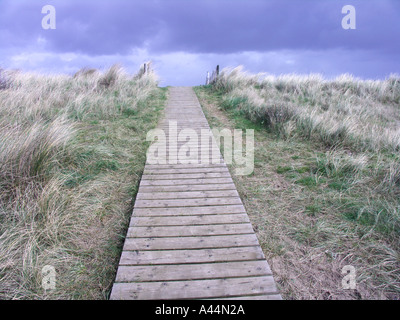 Tavola in legno percorso attraverso marram grass duna di sabbia Foto Stock