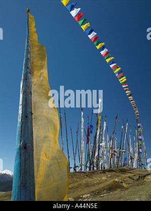 La preghiera buddista bandiere sul pendio di una collina nel Regno del Bhutan la terra del drago di tuono Foto Stock