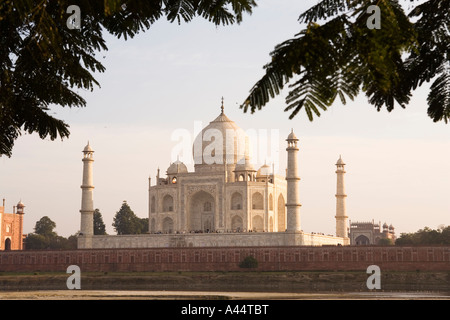 India Uttar Pradesh Agra Taj Mahal visto dal Mehtab Bagh sul fiume Yamuna Foto Stock