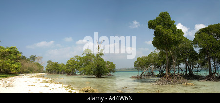 India Andamane e Nicobare Havelock Island east coast mangrovie lambiscono la spiaggia vista panoramica Foto Stock