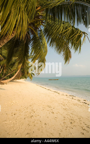 India Andamane e Nicobare Havelock Island east coast vuoto spiaggia orlata di palme Foto Stock