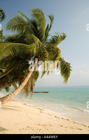 India Andamane e Nicobare Havelock Island east coast vuoto spiaggia orlata di palme Foto Stock