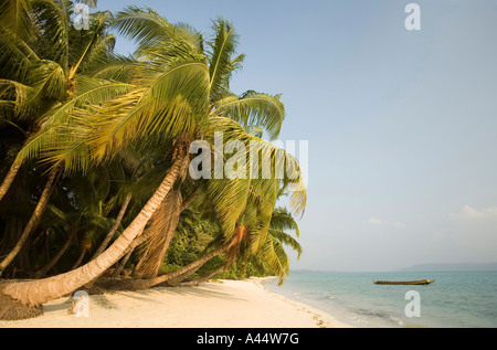 India Andamane e Nicobare Havelock Island east coast vuoto spiaggia orlata di palme Foto Stock