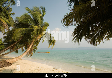 India Andamane e Nicobare Havelock Island east coast vuoto spiaggia orlata di palme Foto Stock