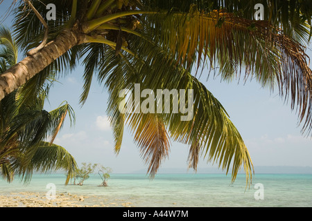 India Andamane e Nicobare Havelock Island Vijayanagar east coast palm fringd laguna costiera Foto Stock