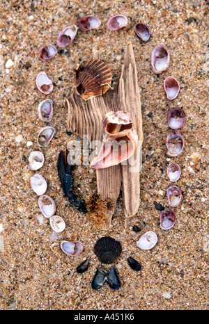 Costruzione di spiaggia, Orient Point, NY Foto Stock