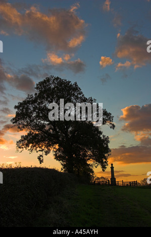 Monumento presso il sito della battaglia di Naseby, Northamptonshire, Inghilterra Foto Stock