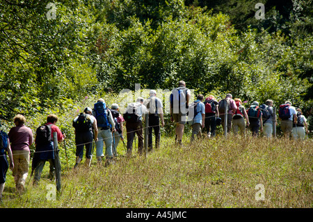 Signor Escursionismo gruppo ogni dopo un altro attraversa un prato Haute Savoie Francia Foto Stock