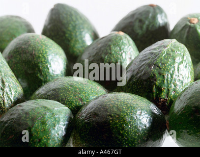 Gli avocadi su sfondo bianco Foto Stock