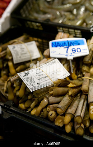 Fasci di freschi cannolicchi (navajas) in vendita in Mercado de la Rivera, Bilbao, Pais Vasco, Paesi Baschi, Spagna. Foto Stock