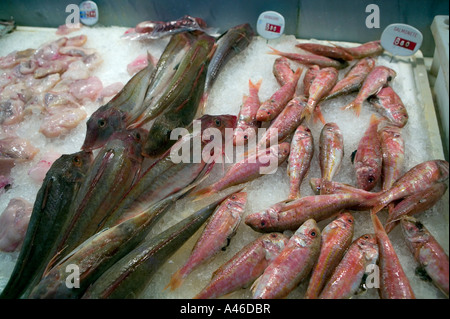 Pesce fresco esposti per la vendita su ghiaccio, il Mercado de la Rivera, Bilbao, Pais Vasco, Paesi Baschi, Spagna. Foto Stock