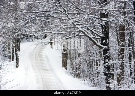 Alberi ghiacciati, coperta di neve strada rurale, Pownal Vermont Foto Stock