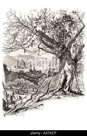 Vista distante Firenze Firenze Toscana nord nord Italia Italia montagne Duomo chiesa cristiana cattedrale farm coltivare la città Foto Stock