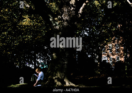 Lettura di Dublino sotto un albero in st stephens green Foto Stock