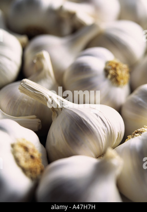 Un mucchio di teste d'aglio ingredienti grezzi mediterranea cibo editoriale Foto Stock