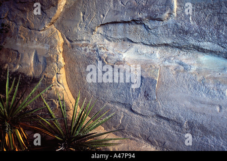 Iscrizioni rupestri, El Morro monumento nazionale, Nuovo Messico, STATI UNITI D'AMERICA Foto Stock