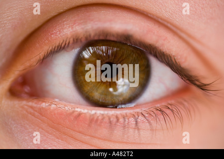 Chiusura del giovane ragazza hazel eye Foto Stock