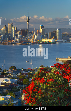 Il centro della città con il lungomare Skytower banchine da Devonport con un albero pohutukawa su Mt Victoria in primo piano Auckla Foto Stock