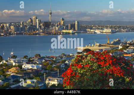 Il centro della città con il lungomare Skytower banchine da Devonport con un albero pohutukawa su Mt Victoria in primo piano Auckla Foto Stock