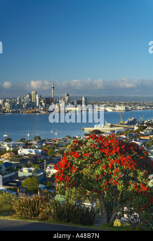 Il centro della città con il lungomare Skytower banchine da Devonport con un albero pohutukawa su Mt Victoria in primo piano Auckla Foto Stock