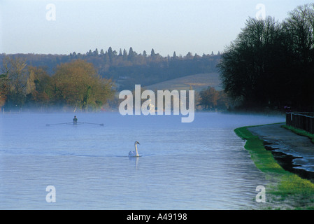 Sculler sul fiume Tamigi a Henley on Thames con Tempio isola swan Foto Stock