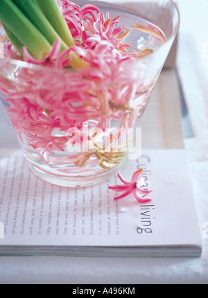 Close-up di fiori in un vaso su un libro Foto Stock
