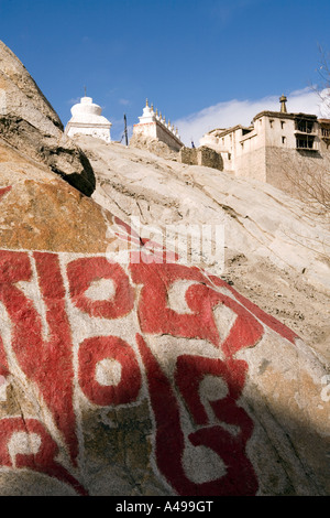 India Ladakh Leh Valle Shey religiose tibetane dipinte di script su roccia sotto la linea off vecchia chortens Foto Stock