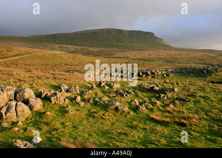 Pen-y-Ghent, uno di Yorkshire's Tre Cime di Lavaredo Foto Stock