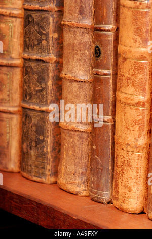Vecchio leatherbound libri sullo scaffale Foto Stock