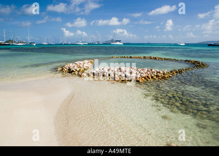 West Indies Caraibi St Vincent e Grenadine Union Island Clifton Harbour Beach circolare di conchiglia piscina e yachts. Foto Stock