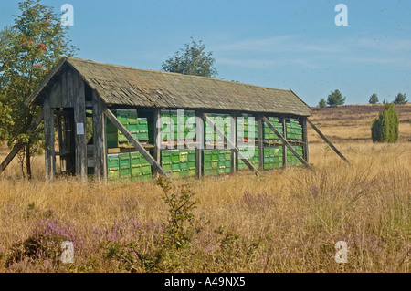 Beehouse / Bienenhaus Foto Stock