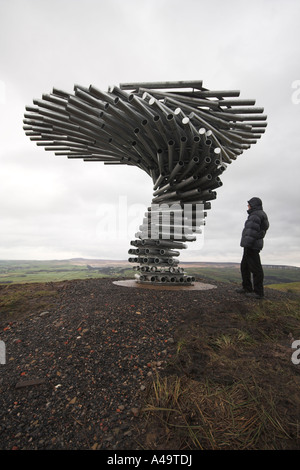 La suoneria di canto scultura di albero, Crown Point ,Burnley, Lancashire, Regno Unito Foto Stock