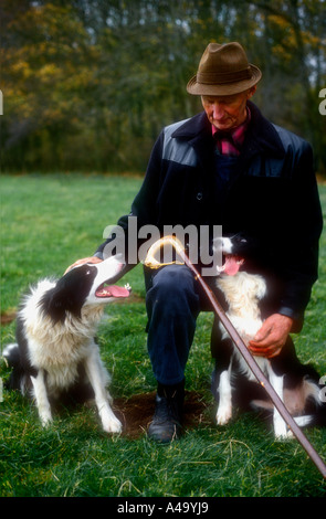 Un pastore con i suoi cani nella campagna inglese Gran Bretagna REGNO UNITO Foto Stock