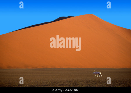 Gemsbock, beisa (Oryx gazella), di fronte le dune di sabbia, Namibia, Sossusvlei Foto Stock