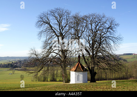 Comune di ippocastano (Aesculus hippocastanum), cappella tra due vecchi alberi, Germania Foto Stock