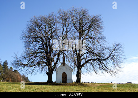 Comune di ippocastano (Aesculus hippocastanum), cappella tra due vecchi alberi, Germania Foto Stock