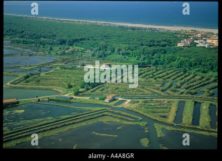 Vista aerea del Rosapineta di Rosolina Veneto Italia Foto Stock