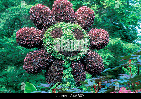 Arte topiaria da Isola di Mainau Germania Europa Foto Stock