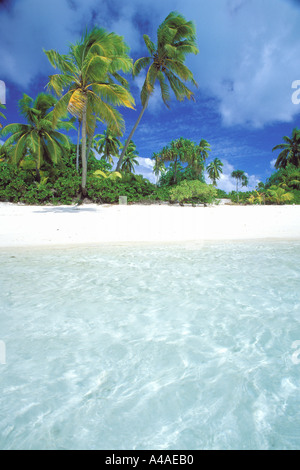 Spiaggia Tropicale scena con acqua poco profonda in primo piano Oceano Pacifico del Sud Foto Stock